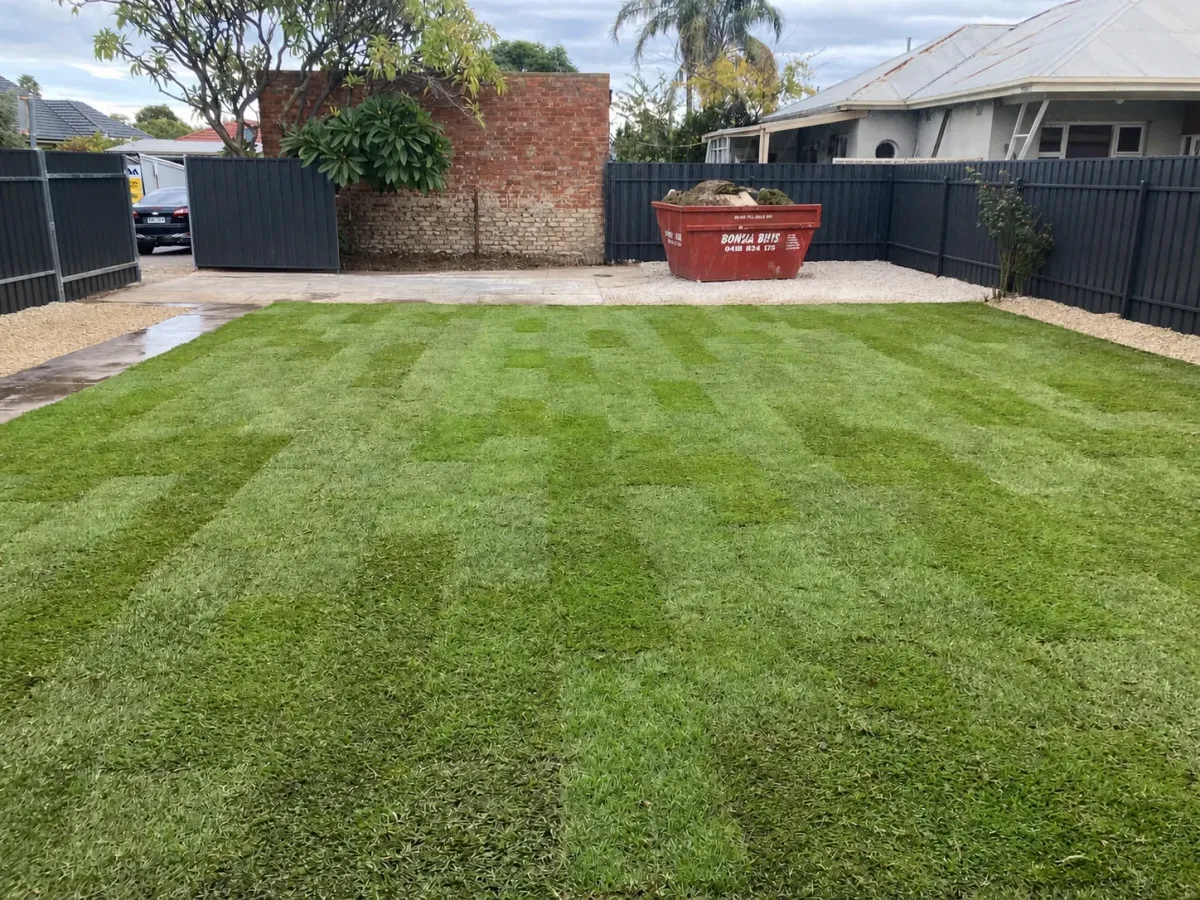 A freshly laid lawn in an Adelaide backyard with new fencing and a gravel edge